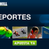 william_hill_sports